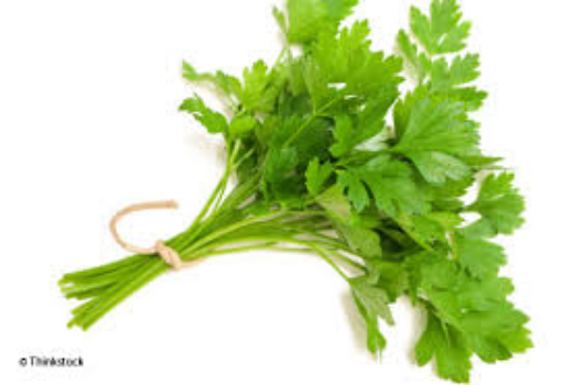 Image de PERSIL PLAT TBE 10PC - PC BIO