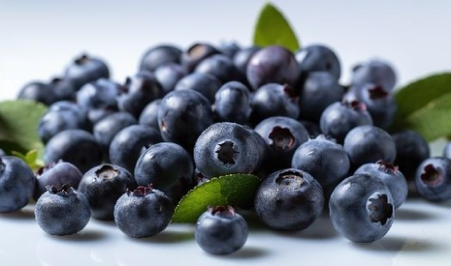 Image de MYRTILLE ES 8X125GR - PC BIO