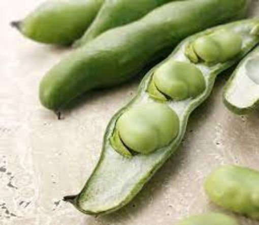 Image de FEVE  ES 4KG - KG BIO