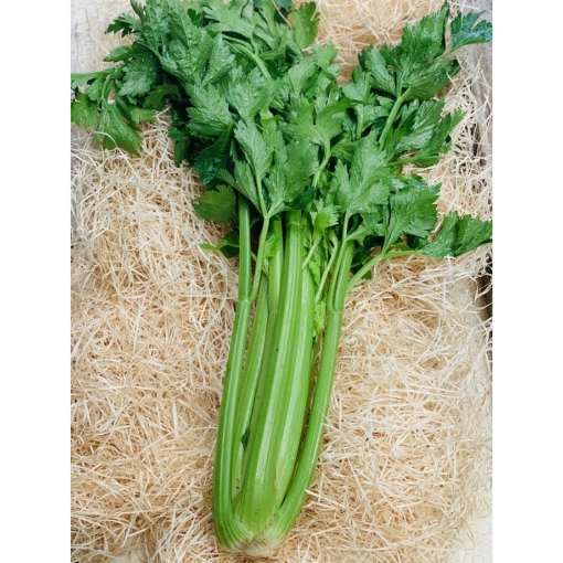 Image de CELERI VERT BRANCHES ES 7KG - KG BIO