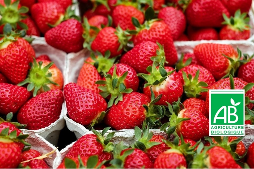 Image de FRAISE BE 6X500GR - RV BIO
