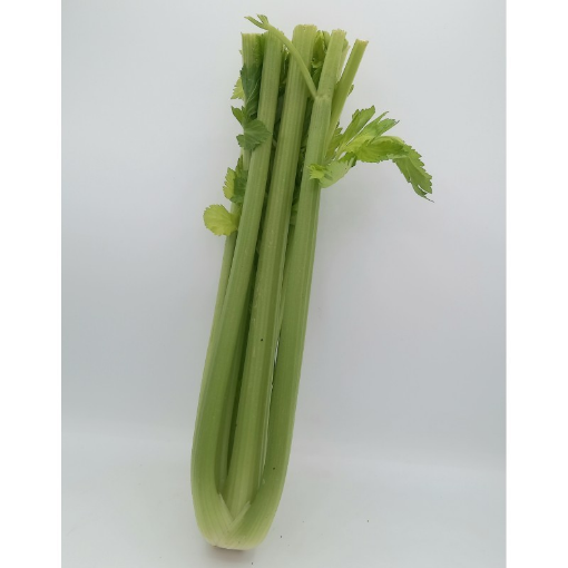 Image de CELERI VERT TBE 10PC - PC BIO