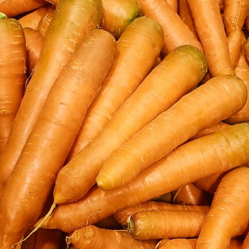 Image de CAROTTE LAVEE VRAC TBE 15KG - KG BIO