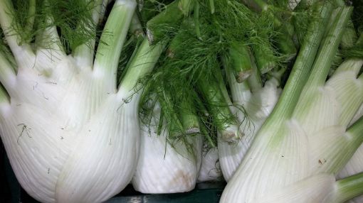 Image de FENOUIL FR 5 KG - KG BIO