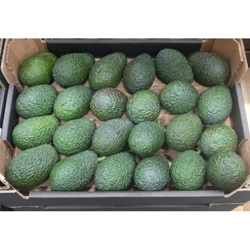 Image de AVOCAT HASS GR 4KG - KG BIO