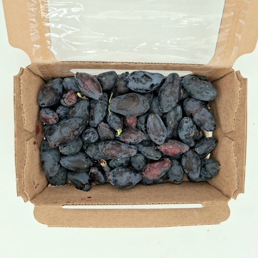 Image de CAMERISE BE RV 8X125GR - PC BIO