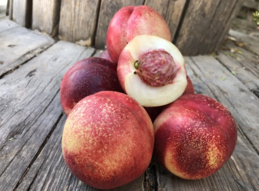Image de NECTARINE BLANCHE FR 4KG - KG BIO