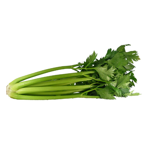 Image de CELERI VERT BRANCHE BE 10PC - PC BIO