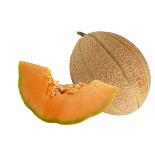 Image de MELON CANTALOUP TYPE CHARENTAIS IT 5KG- KG BIO