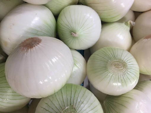 Image de OIGNON BLANC IT DOUX 6KG - KG BIO