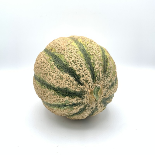 Image de MELON CANTALOUP IT 6KG- KG BIO