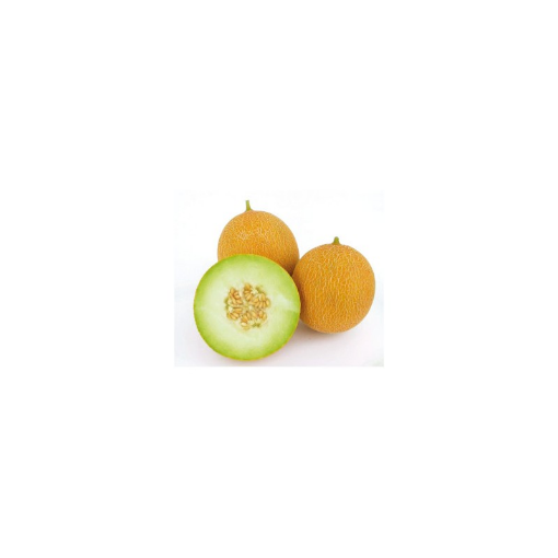 Image de MELON GALIA ES 8PC - PC BIO
