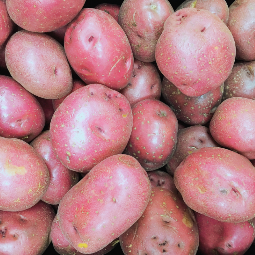 Image de PDT ALOUETTE NLLE RECOLTE BE 15KG - KG BIO