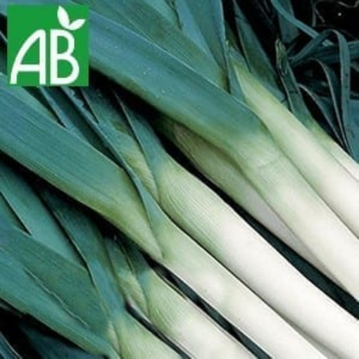 Image de POIREAUX NL 5KG - KG BIO
