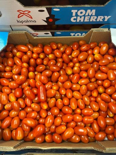 Image de TOMATE BONBON VRAC 4KG - KG es