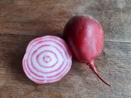 Image de BETTERAVE CHIOGGIA BE 5KG - KG BIO