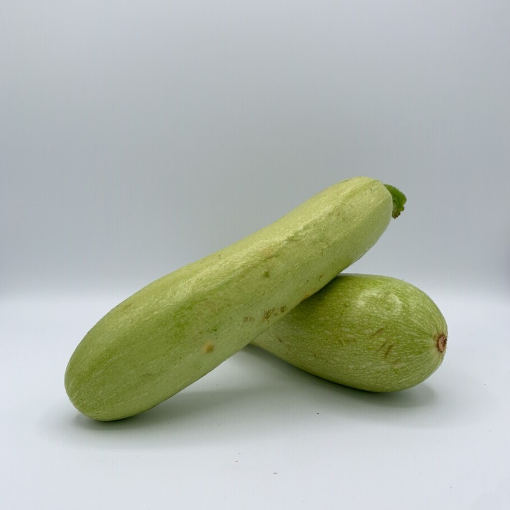 Image de COURGETTE BLANCHE BE 5KG - KG BIO