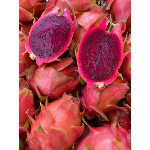 Image de PITAHAYA ES CHAIR ROUGE 4KG - KG BIO