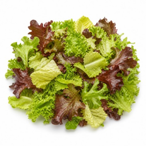 Image de LAITUE BABY MIX BE 1KG - KG BIO