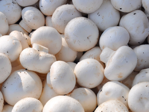 Image de CHAMPI BLANC VRAC TBE 3KG - KG BIO