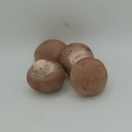Image de CHAMPI CHATAIGNE NL 3KG - KG BIO