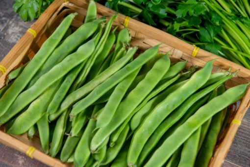 Image de HARICOT VERT PLAT BE 3KG - KG BIO