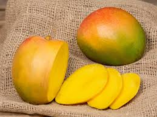 Image de MANGUE OSTEEN 4KG - KG BIO