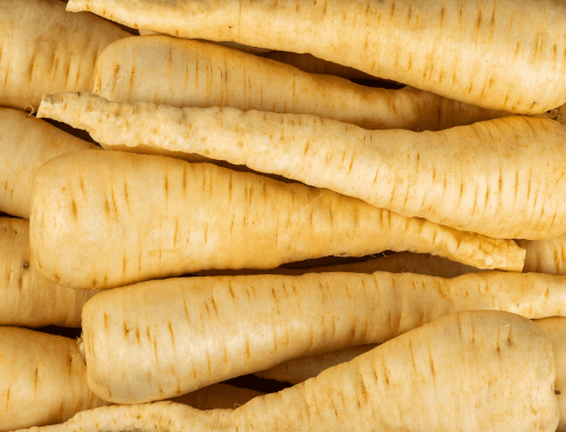 Image de PANAIS 5 KG - KG  ho