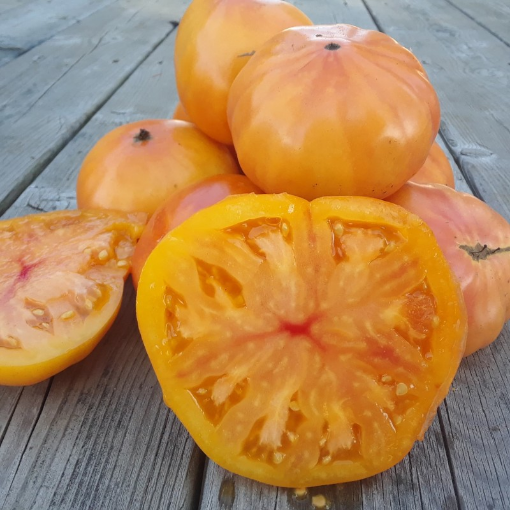 Image de TOMATE ANCIENNE ANANAS FR 5KG - KG BIO