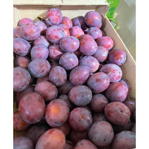 Image de PRUNE ROUGE IT 5KG - KG BIO