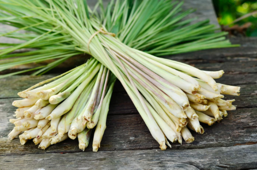 Image de CITRONNELLE D'INDE ES 10BT - PC BIO