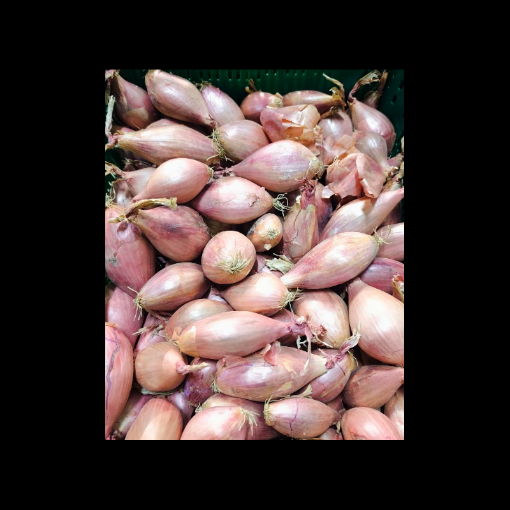 Image de ECHALOTE CUISSE DE POULET NL 5KG - KG BIO