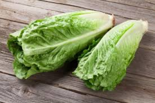 Image de SALADE ROMAINE 8 PC - PC BIO