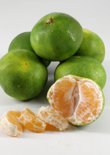 Image de MANDARINE SATSUMA IT 6KG - KG BIO