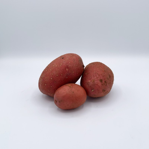 Image de PDT GRENAILLE ALOUETTE BE 5KG - KG BIO