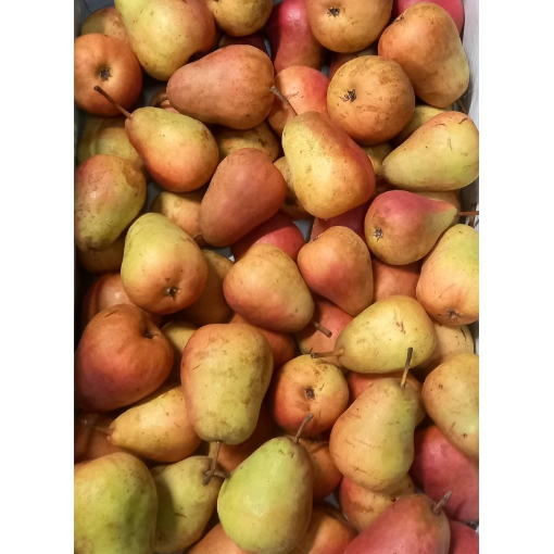 Image de POIRE ST-REMY BE 1KG - KG BIO