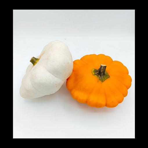 Image de COURGE PATISSON MIX ORANGE BLANC BE 10PC - PC BIO