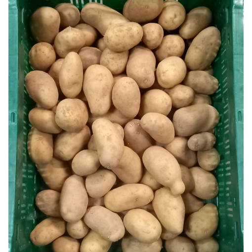 Image de PDT GRENAILLE ALLIANS BE 5KG - KG BIO