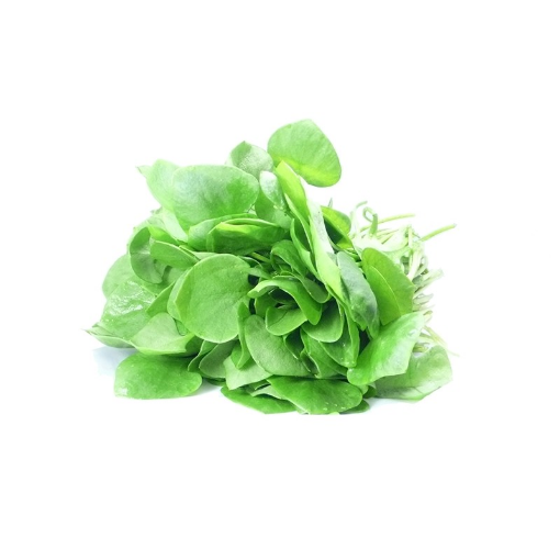 Image de POURPIER D'HIVER TBE 10PC - PC BIO