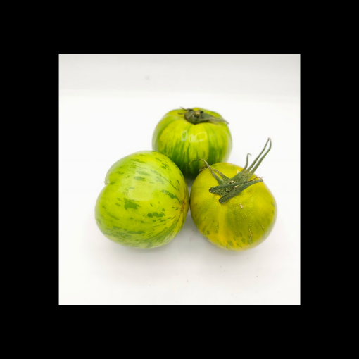 Image de TOMATE ANCIENNE GREEN ZEBRA BE 4KG - KG BIO