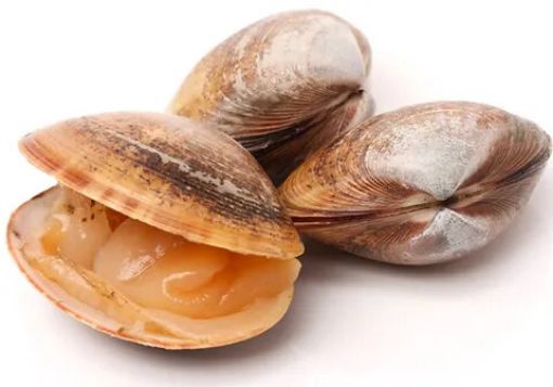 Image de PALOURDE FRAICHE - KG
